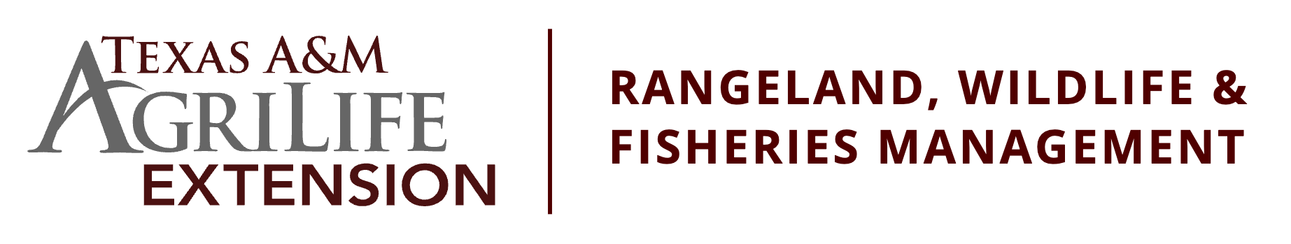 RWFM Extension