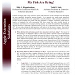 EWF-006 My Fish are Dying