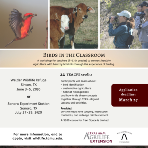A graphic with information about the Birds in the Classroom teacher workshop.